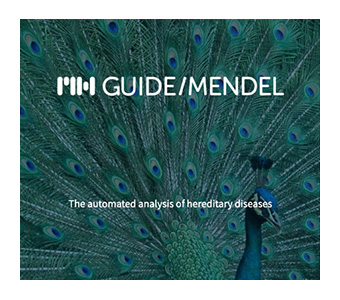 MH Guide/Medel