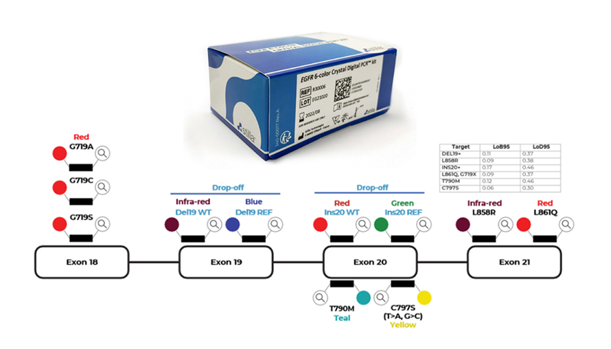 EGFR 6-color Crystal Digital PCR™ Kit
